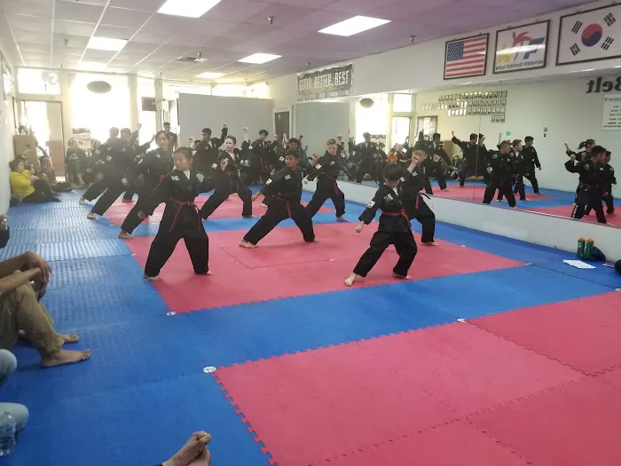 World's Best Taekwondo Picture 5