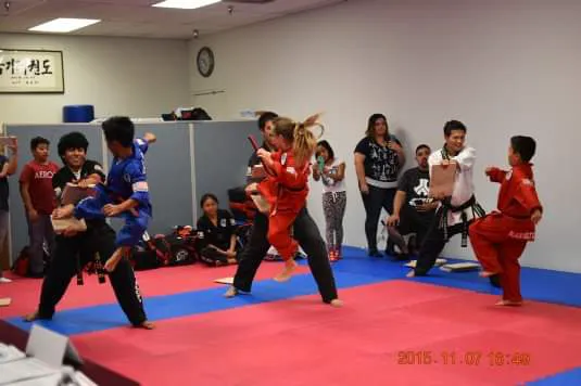 World's Best Taekwondo Picture 4