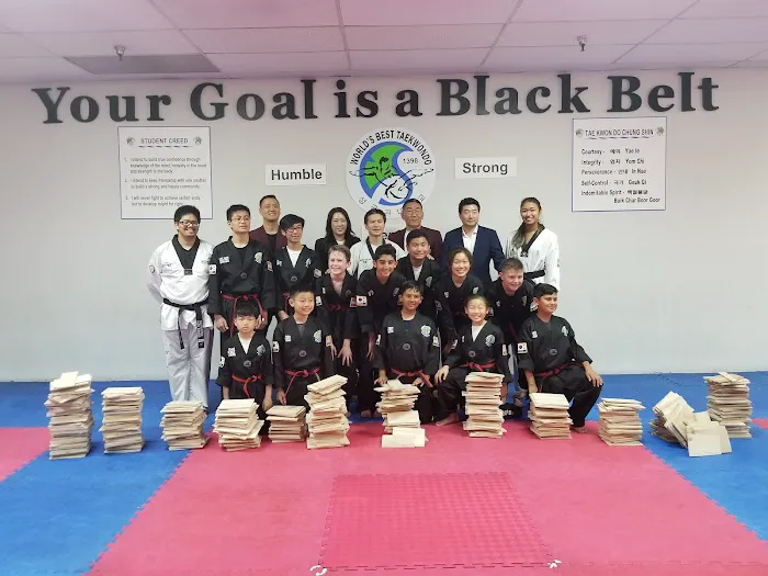 World's Best Taekwondo Picture 9