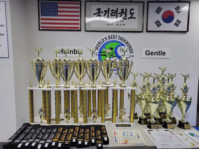 World's Best Taekwondo Picture 10