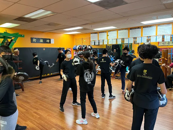 Franco Lung Wing Chun - Martial Arts Academy Picture 2