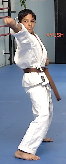 West Coast Shotokan Karate Association Picture 1