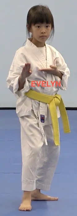 West Coast Shotokan Karate Association Picture 4