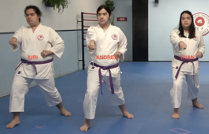 West Coast Shotokan Karate Association Picture 9