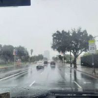 Ace Martial Arts Supply ico