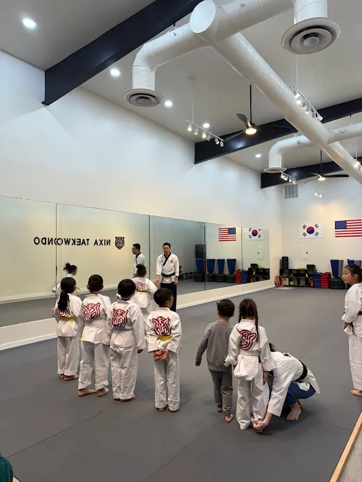 Nixa Martial Arts Institute Picture 7