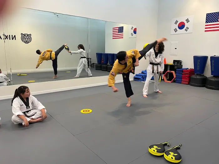 Nixa Martial Arts Institute Picture 8