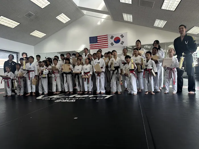 Victory Tae Kwon Do USA Picture 1