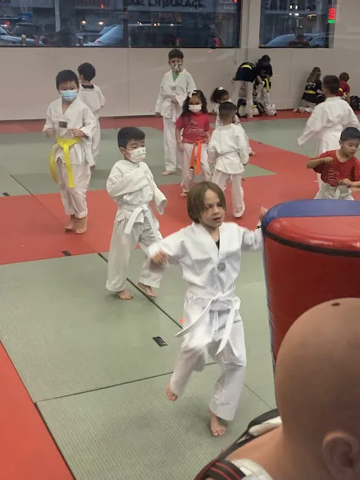 Victory Tae Kwon Do USA Picture 6