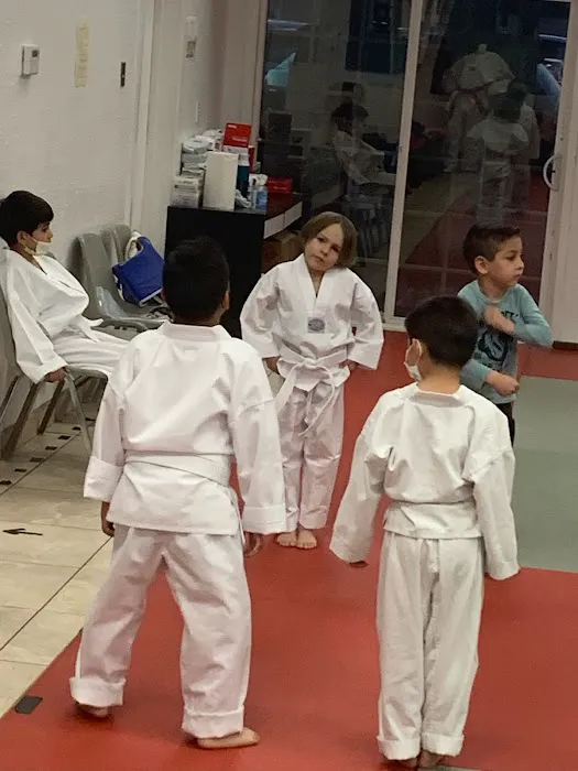 Victory Tae Kwon Do USA Picture 5