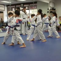 TKS Martial Arts ico