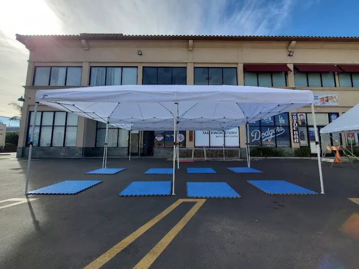 TKS Martial Arts Picture 7