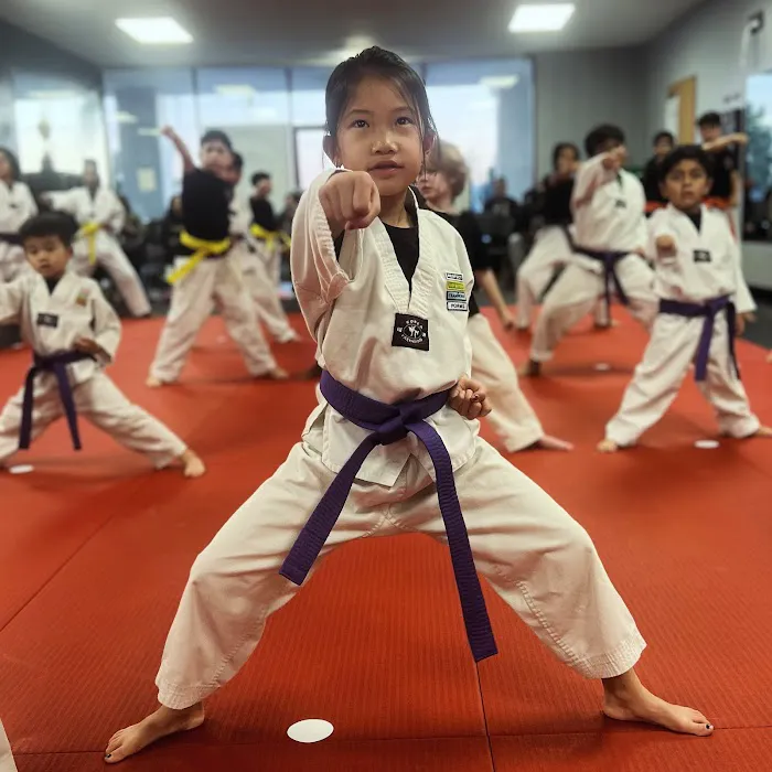 Prestige Martial Arts Picture 2