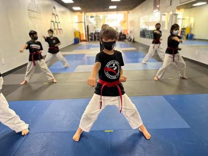 Prestige Martial Arts Picture 1