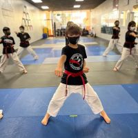 Prestige Martial Arts ico