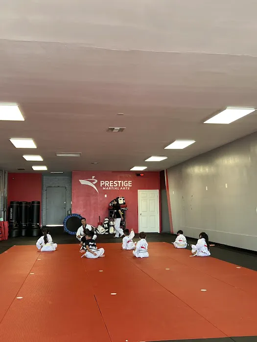 Prestige Martial Arts Picture 3
