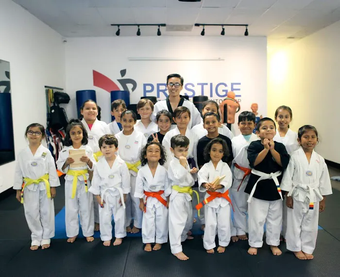 Prestige Martial Arts Picture 7