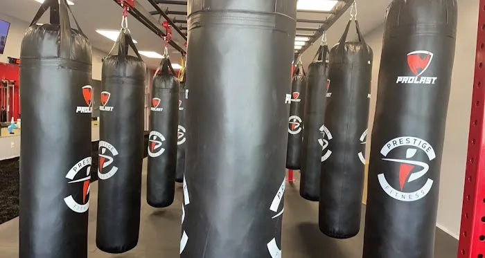 Prestige Martial Arts Picture 5