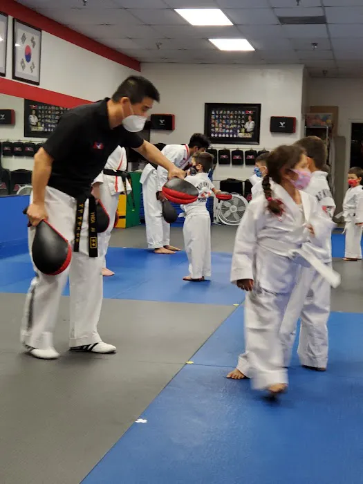 High Kick Taekwondo Picture 1