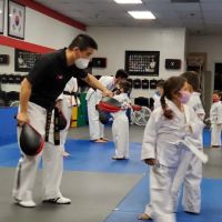 High Kick Taekwondo ico