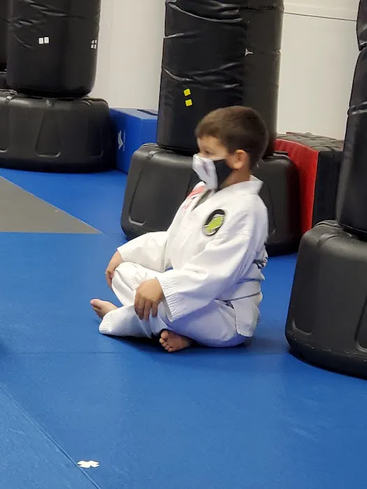 High Kick Taekwondo Picture 2