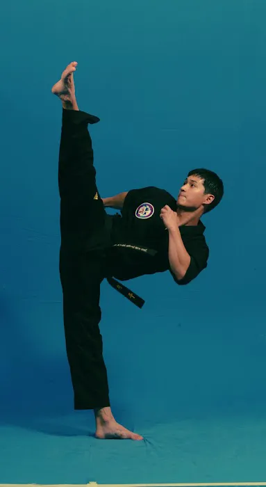 Taekwondo Spirit Picture 3