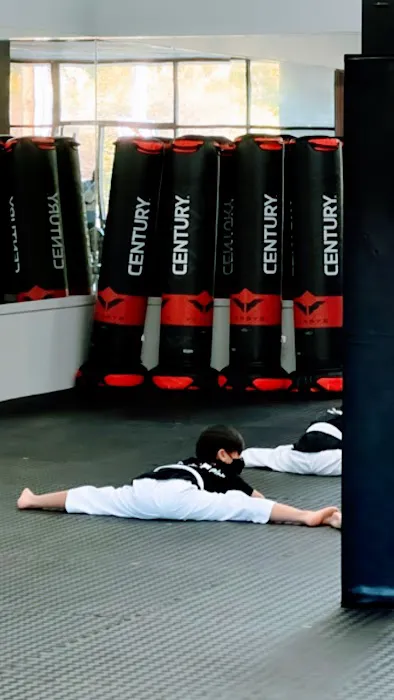 Taekwondo Spirit Picture 4