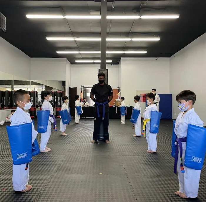 Taekwondo Spirit Picture 2