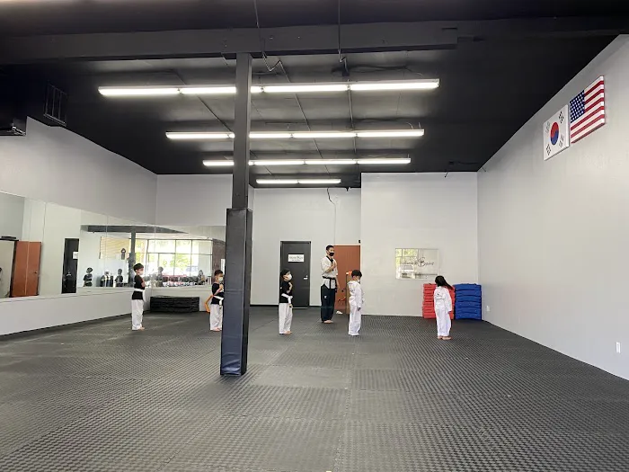 Taekwondo Spirit Picture 5