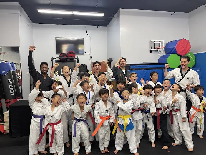 Taekwondo Spirit Picture 6