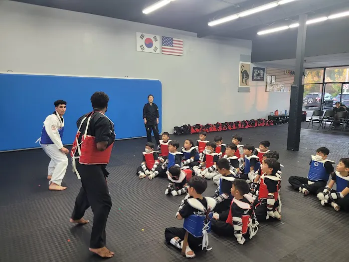 Taekwondo Spirit Picture 7