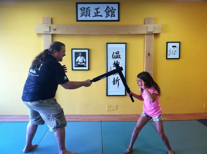 Kenshokan Martial Arts Picture 2