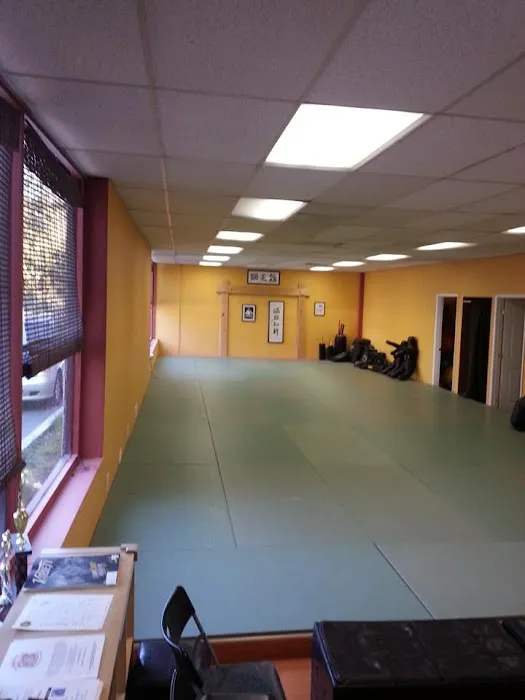 Kenshokan Martial Arts Picture 6