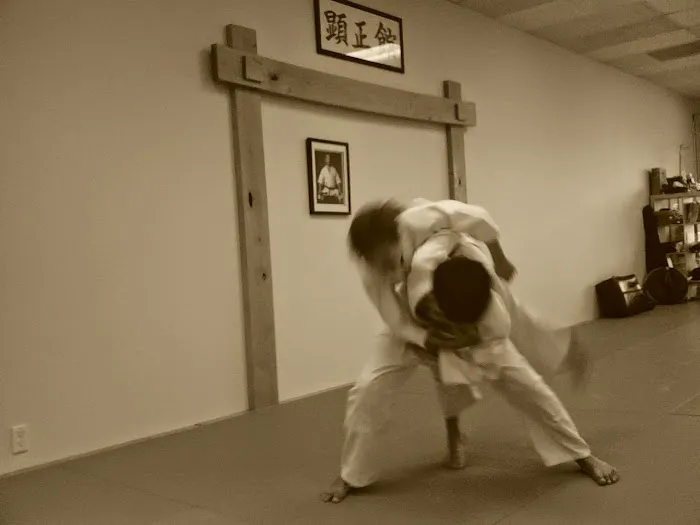 Kenshokan Martial Arts Picture 7