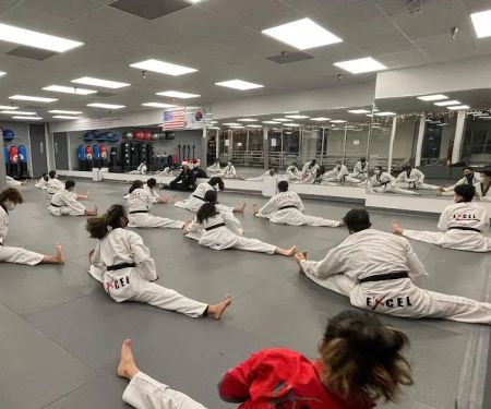 Excel Taekwondo Center