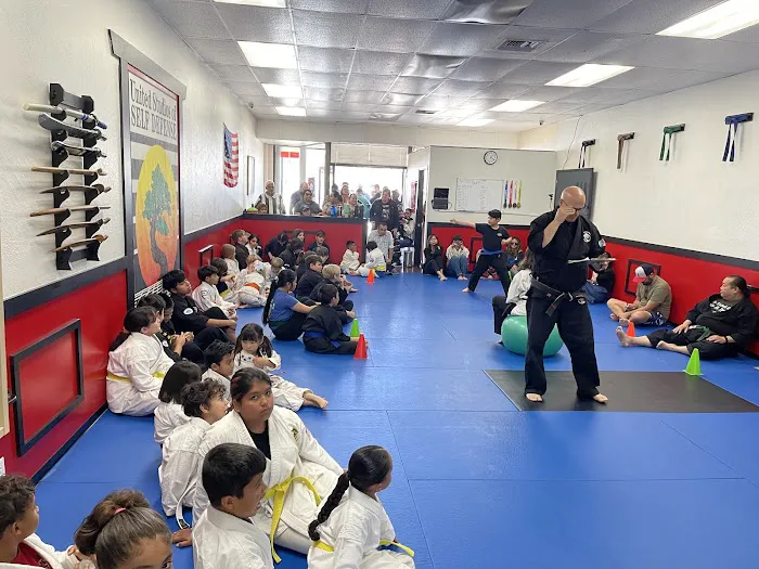 Karate Fountain Valley Picture 4