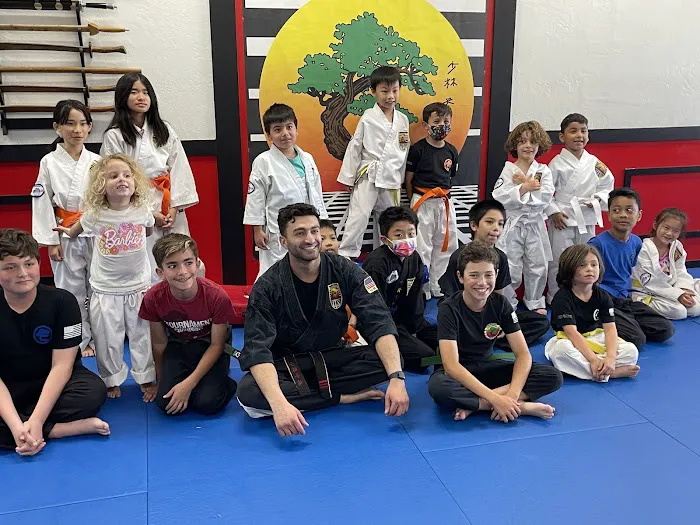 Karate Fountain Valley Picture 5