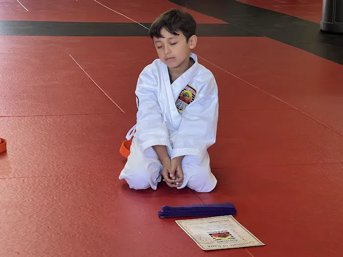 Karate Fountain Valley Picture 10