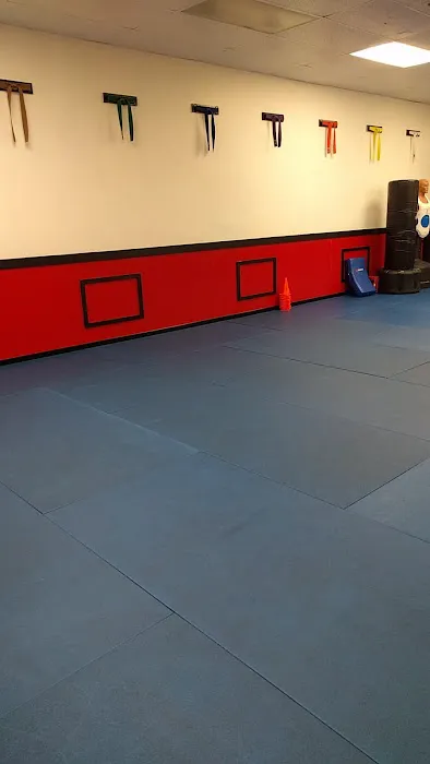 Karate Fountain Valley Picture 8