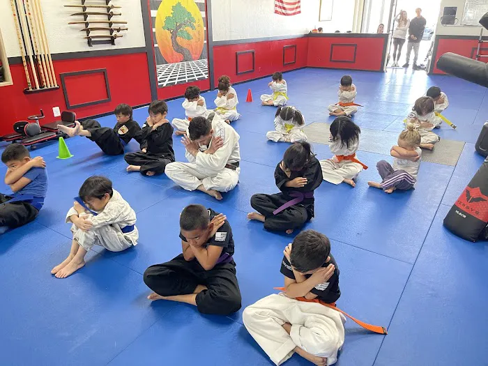 Karate Fountain Valley Picture 6