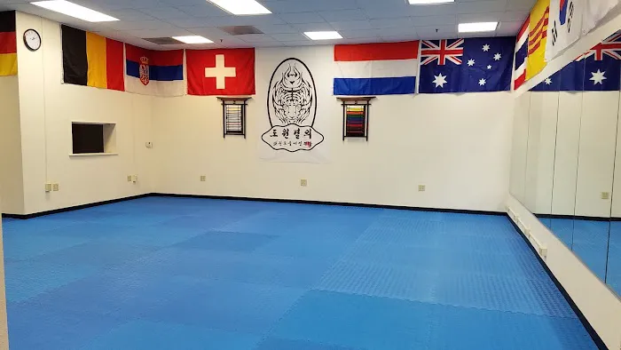 HOC Taekwondo(Dowongyuleui USA Poomsae Team) Picture 5