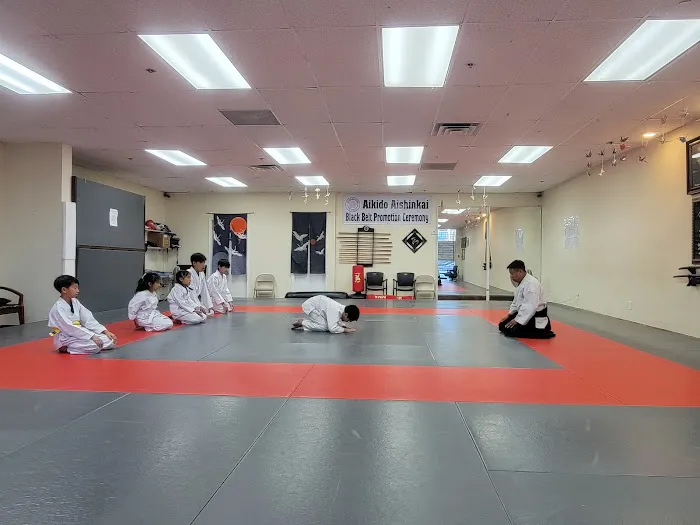 Aikido Aishinkai Dojo Picture 2