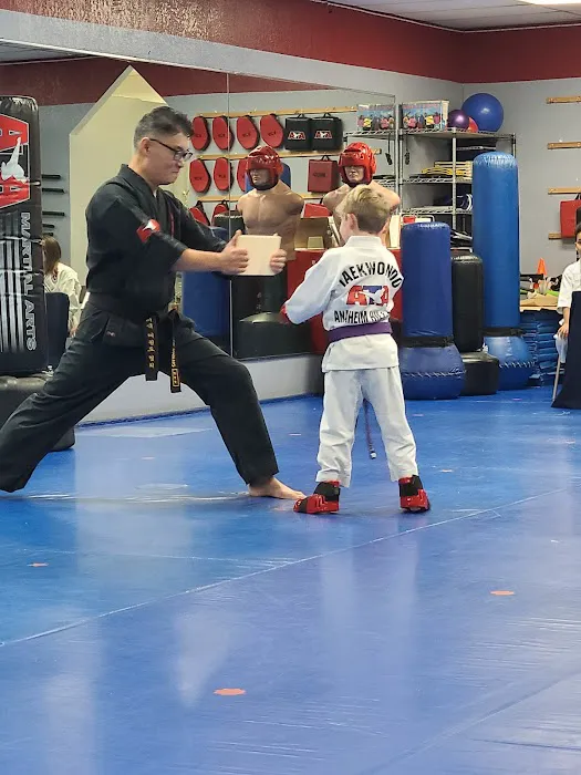 Hwang's ATA Martial Arts Picture 2