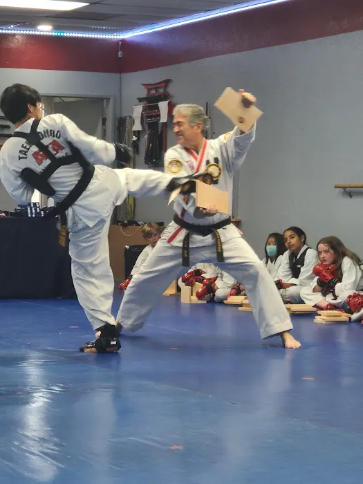 Hwang's ATA Martial Arts Picture 3