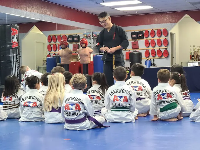 Hwang's ATA Martial Arts Picture 1