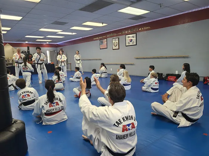 Hwang's ATA Martial Arts Picture 7