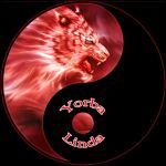 United Studios of Self Defense - Yorba Linda Martial Arts