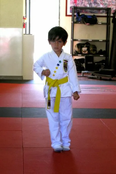 United Studios of Self Defense - Yorba Linda Martial Arts Picture 3