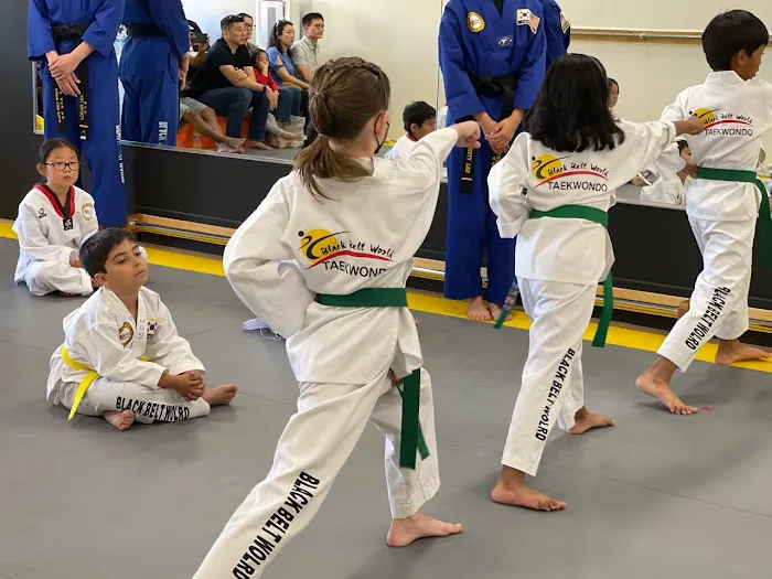 Taekwondo Family Fitness Picture 4