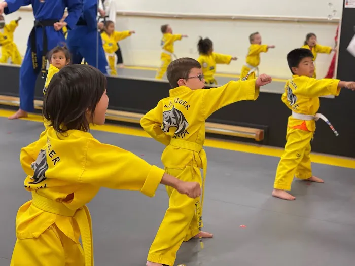 Taekwondo Family Fitness Picture 3